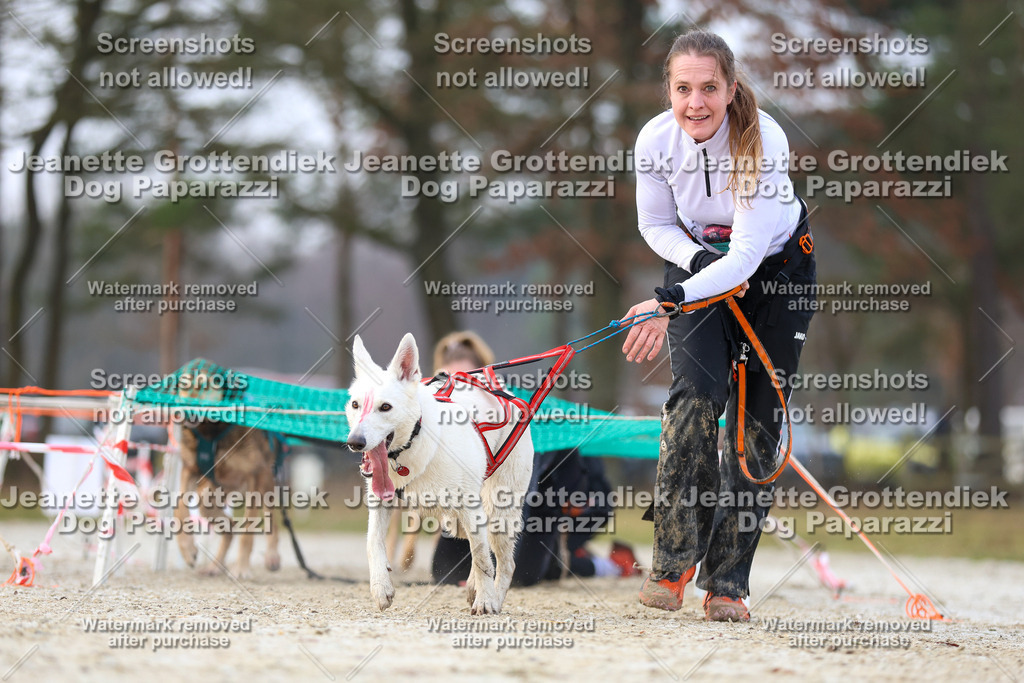 Dog Paparazzi - Strongdog North Mrz26-3790 | Dog Paparazzi Jeanette Grottendiek Fotografie & Videografie - Realisiert mit Pictrs.com