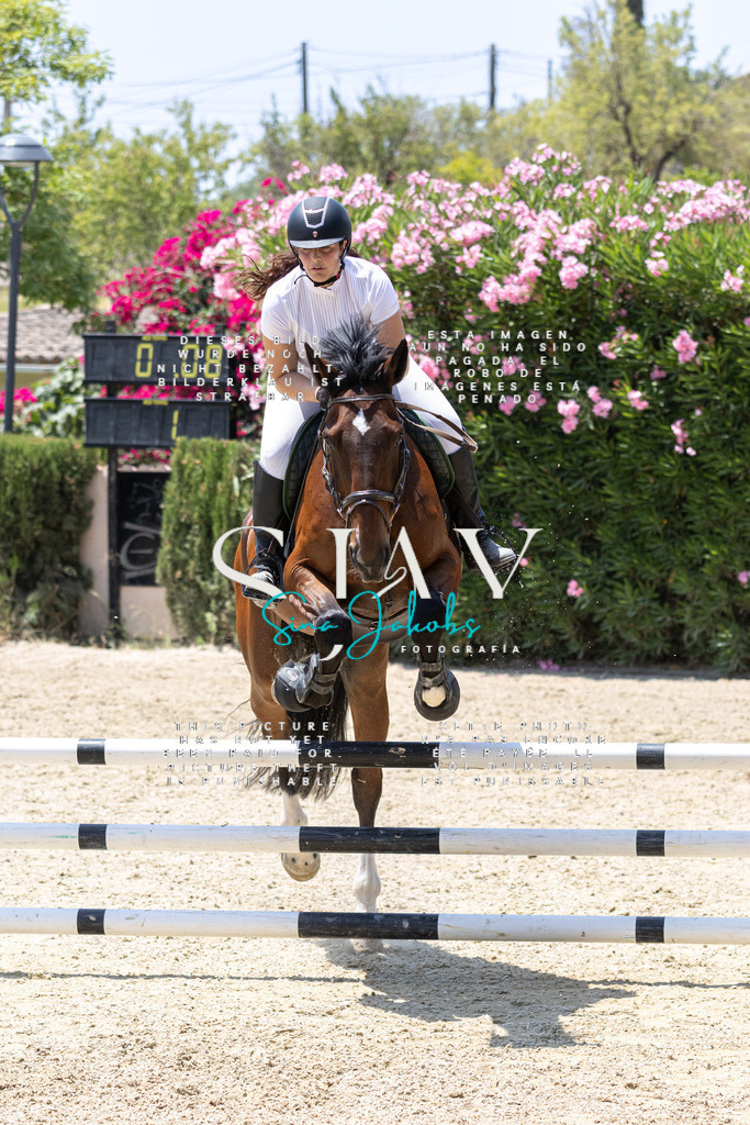 IMG_1555 | s-jay-photography - Realisiert mit Pictrs.com