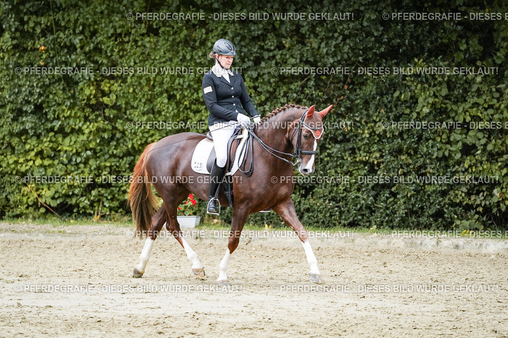 DSC06764 | Pferdegrafie