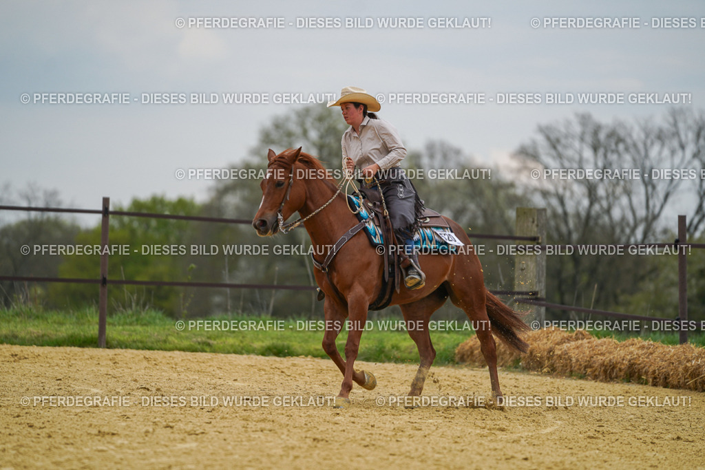 DSC07267 | Pferdegrafie