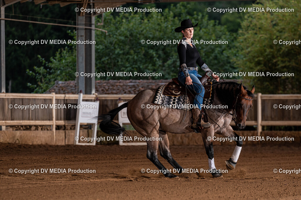 Erbach Tag 1-1290 | dv-media-shop - Realisiert mit Pictrs.com