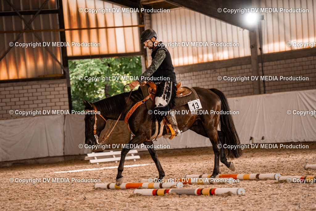 ZH300370 | dv-media-shop - Realisiert mit Pictrs.com