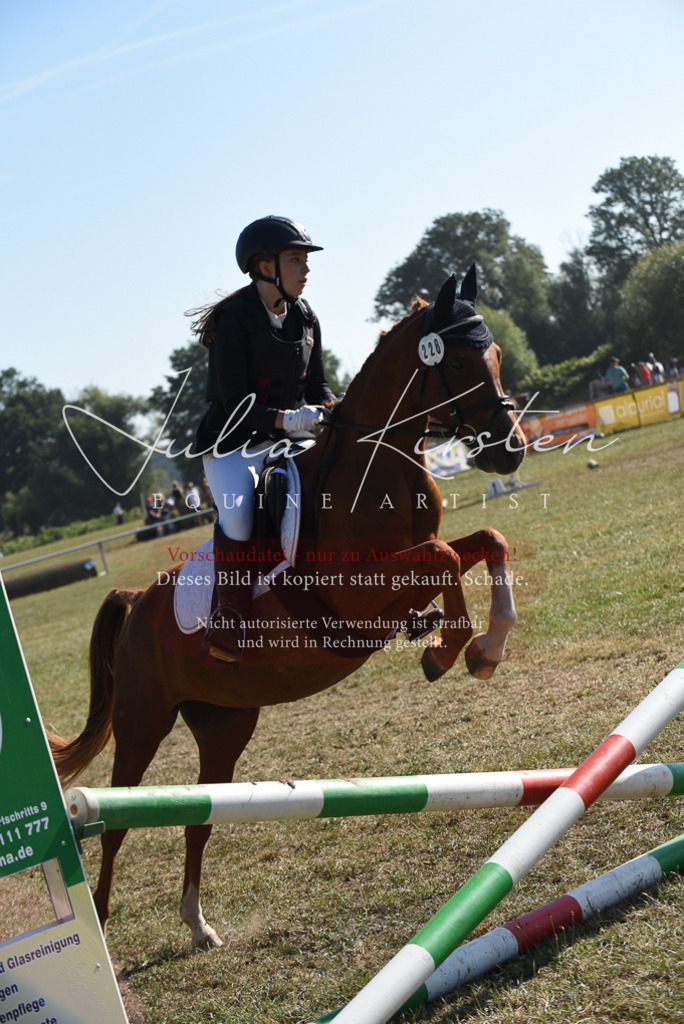 DSC_5917 | Pferde- und Turnierfotografie in Westsachsen. Pferdeportraits, Auftragszeichnungen und intuitive Kunst.