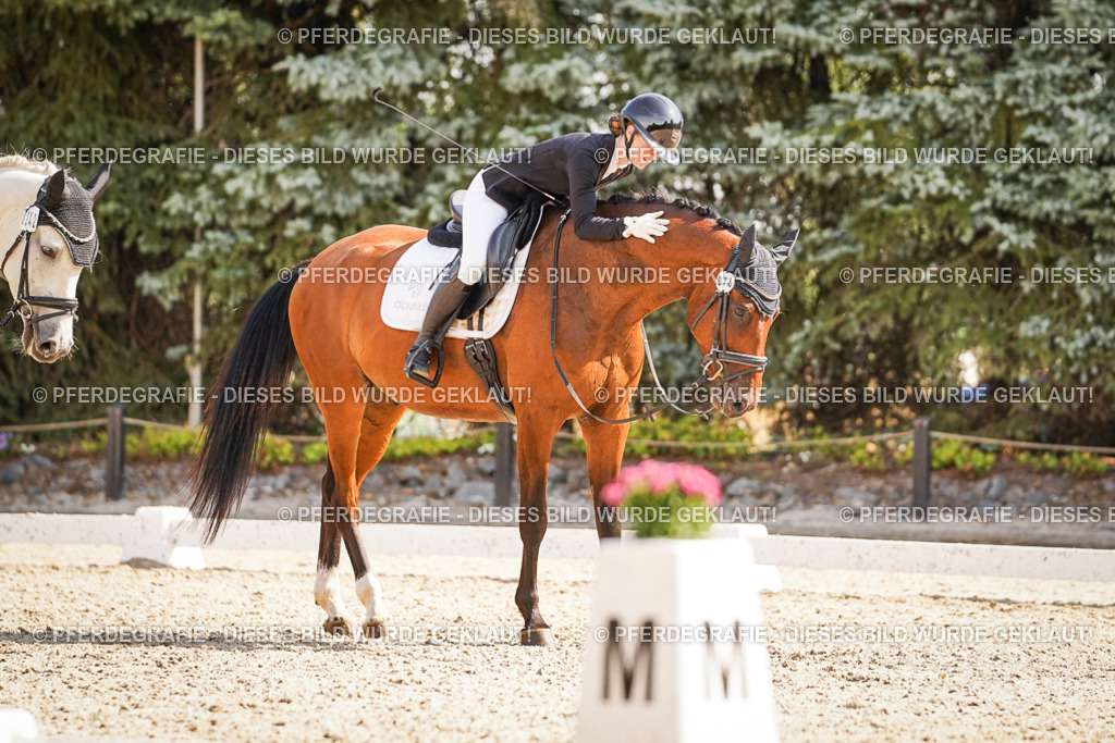 DSC00665 | Pferdegrafie