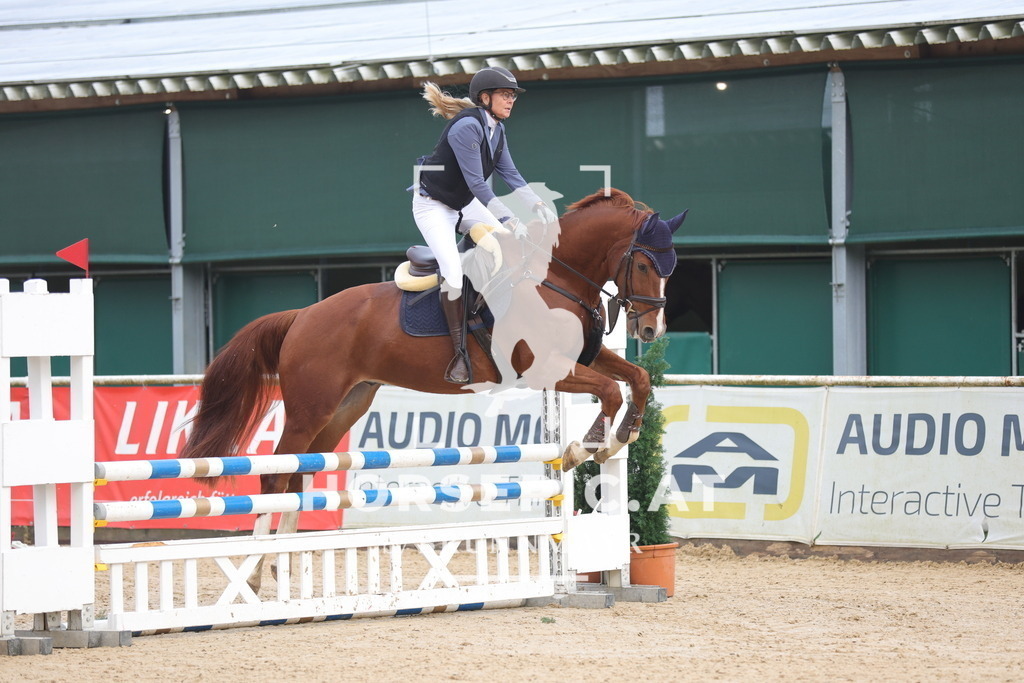 0P6A0776 | Willkommen bei Brunnmayr - Design & Fotografie – Ihrem Spezialisten für Reitturniere und Pferdeveranstaltungen in Oberösterreich, Salzburg und Bayern! Seit über 17 Jahren sind wir leidenschaftlich dabei.