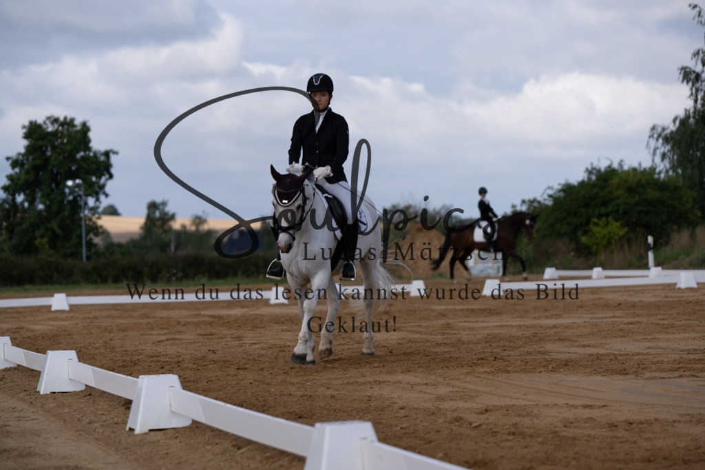 A7V05166 | Pferdefotograf