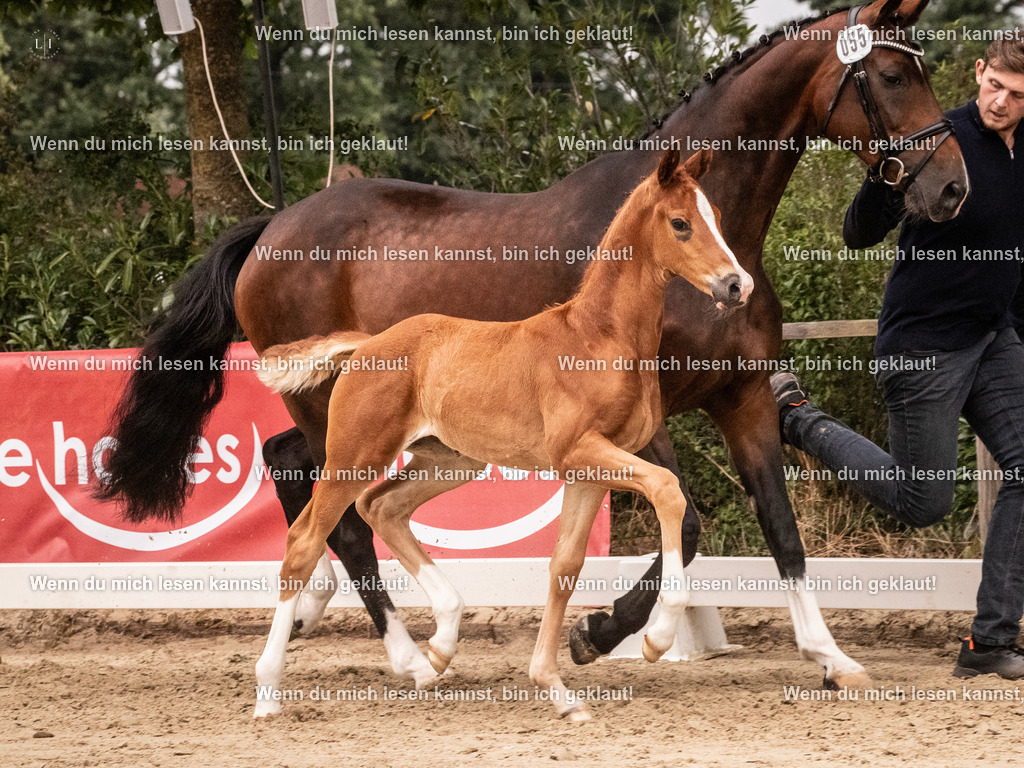 A10I5447 | photographylinaismer - Realisiert mit Pictrs.com