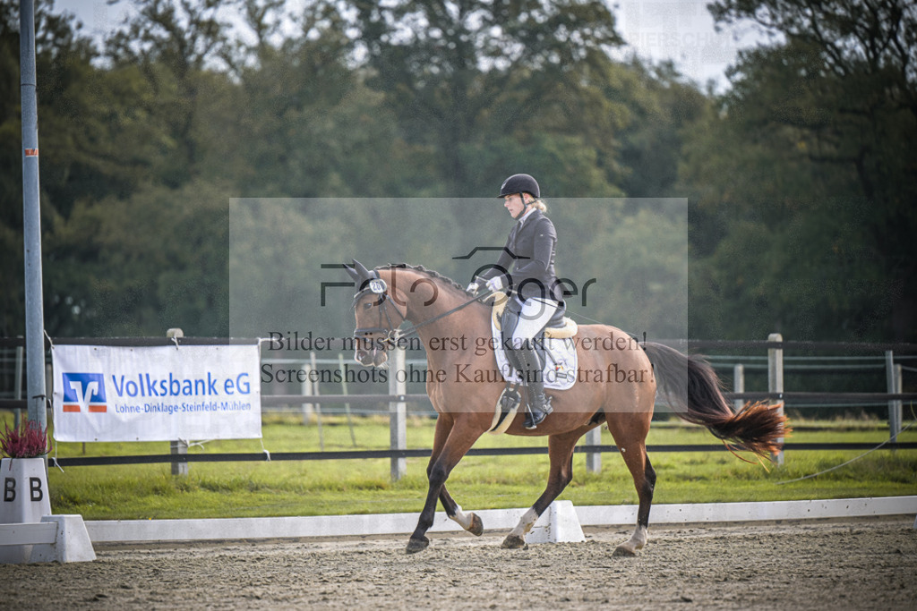DOS_B211 | Entdecke hochwertige Reitturnierfotos von Foto Oger. Professionell, emotional und authentisch – jetzt Lieblingsmomente im Shop bestellen.Deutschlandweite Turnierfotografie. - Realisiert mit Pictrs.com