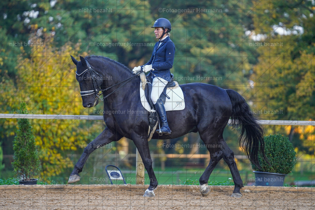 20221007-FAH00543 | Diessen am Ammersee, 2022, Dressur- und Springturnier, Reitsportbilder, Turnierfotografen Bayern, Pferdefotografen, Fotoagentur Herrmann, Turnierbilder