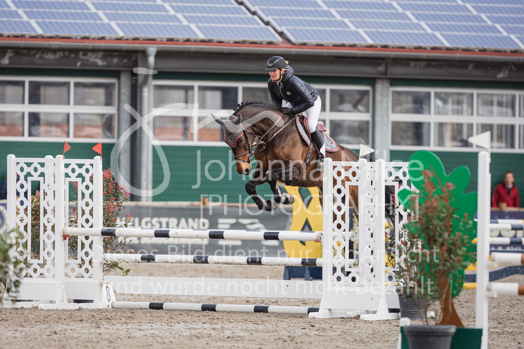 230411_Mühlen_02SprPf-A-214 | Deine schönsten Turniermomente als professionelle Fotos! Entdecke hochwertige Pferdesport-Fotografie im Online-Shop. Jetzt Fotos finden & bestellen!