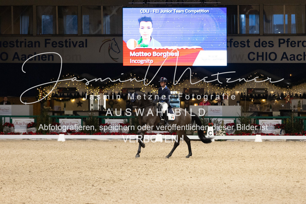 126A8126 | jasminmetznerfotografie