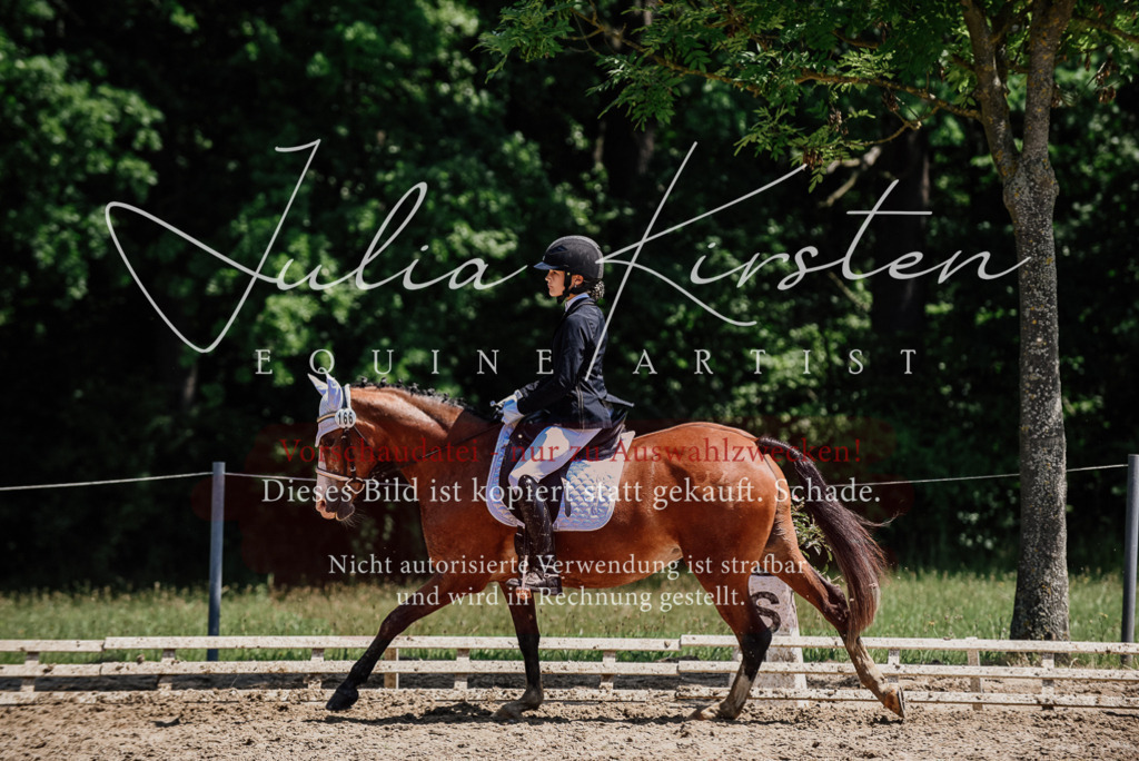DSC_1950 | Pferde- und Turnierfotografie in Westsachsen. Pferdeportraits, Auftragszeichnungen und intuitive Kunst.