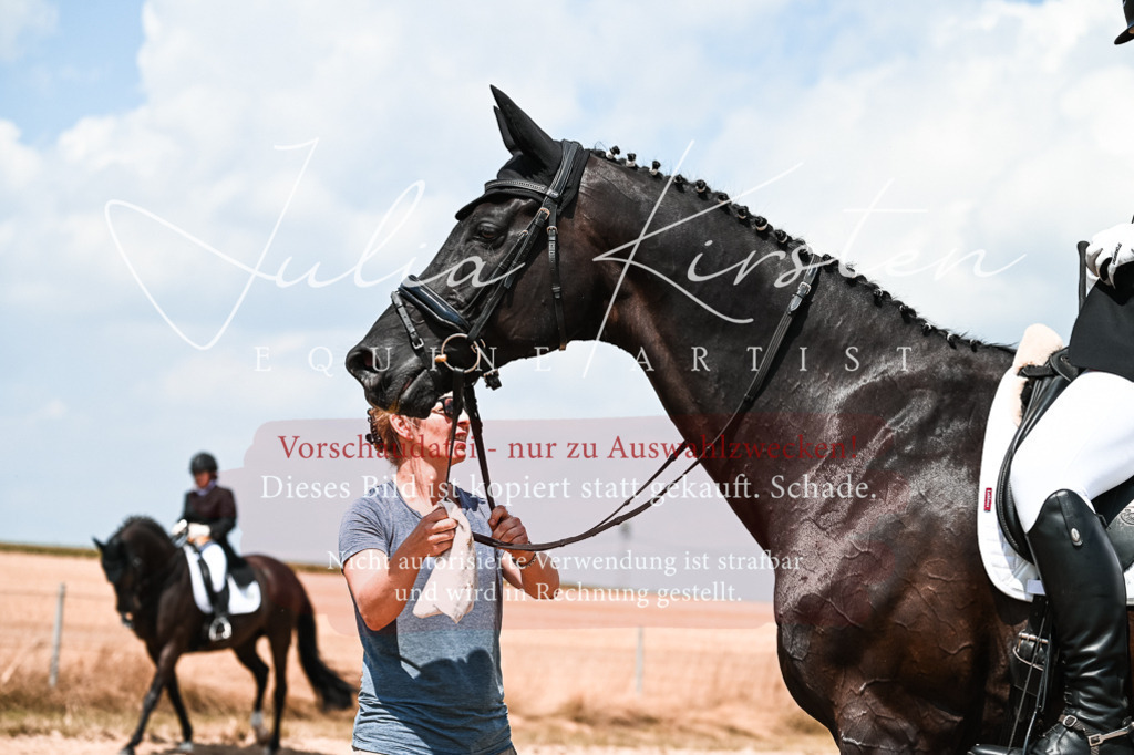 DSC_2742 | Pferde- und Turnierfotografie in Westsachsen. Pferdeportraits, Auftragszeichnungen und intuitive Kunst.