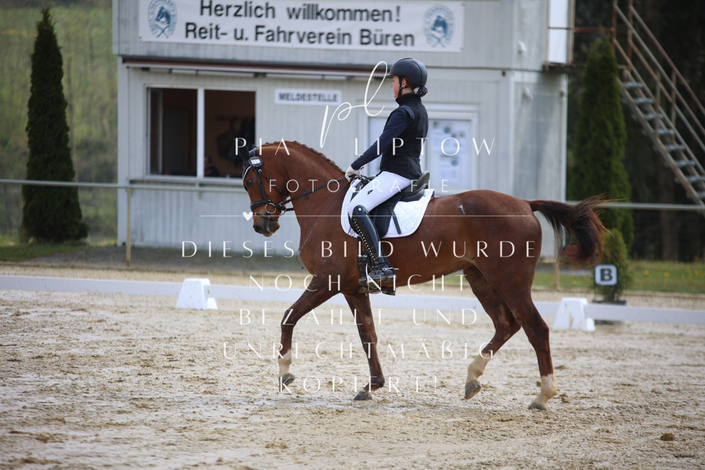 IMGT2235 | pl-fotografie