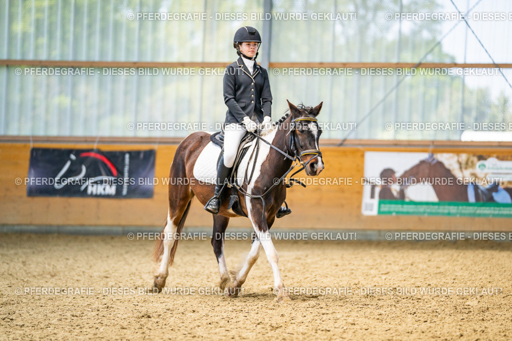 DSC03433 | Pferdegrafie