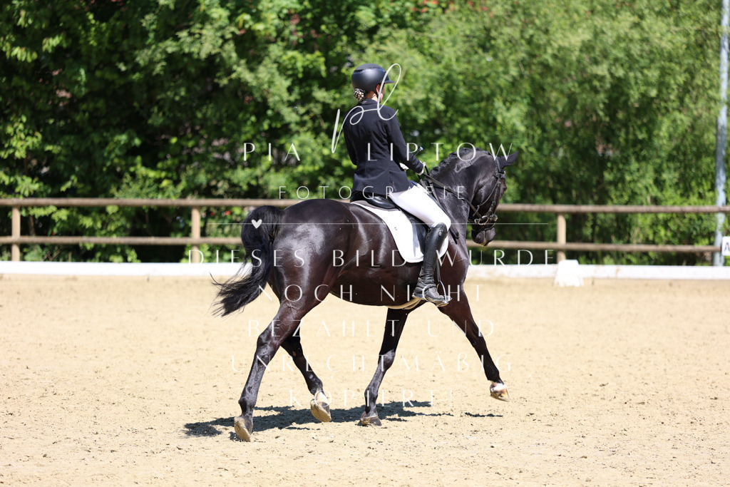 IMGS1716 | pl-fotografie