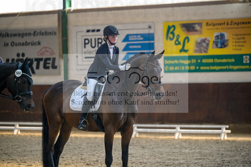 Reitturnier Voxtrup | Entdecke hochwertige Reitturnierfotos von Foto Oger. Professionell, emotional und authentisch – jetzt Lieblingsmomente im Shop bestellen.Deutschlandweite Turnierfotografie. - Realisiert mit Pictrs.com