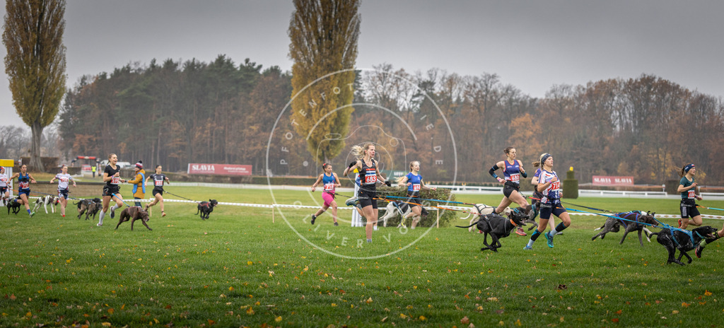 CaniXpix_DV3A8745 | Hundefotografie, Tierfotograf, Pfotenfotografie, Fotoshooting Hund, Hunde Portrait, Hundesport, Hundeportraits, Heideshooting, Hunde, Sportfotograf, Hundefotograf, Turnierhundsport, THS,  - Realisiert mit Pictrs.com