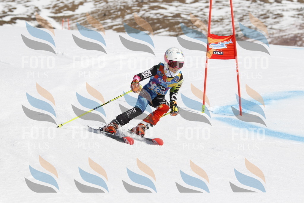 _U3G0862 | holidayphoto