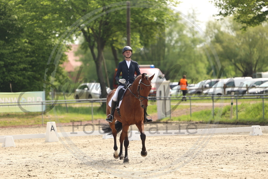 994A6488 | sabrinanicolaifotografie - Realisiert mit Pictrs.com