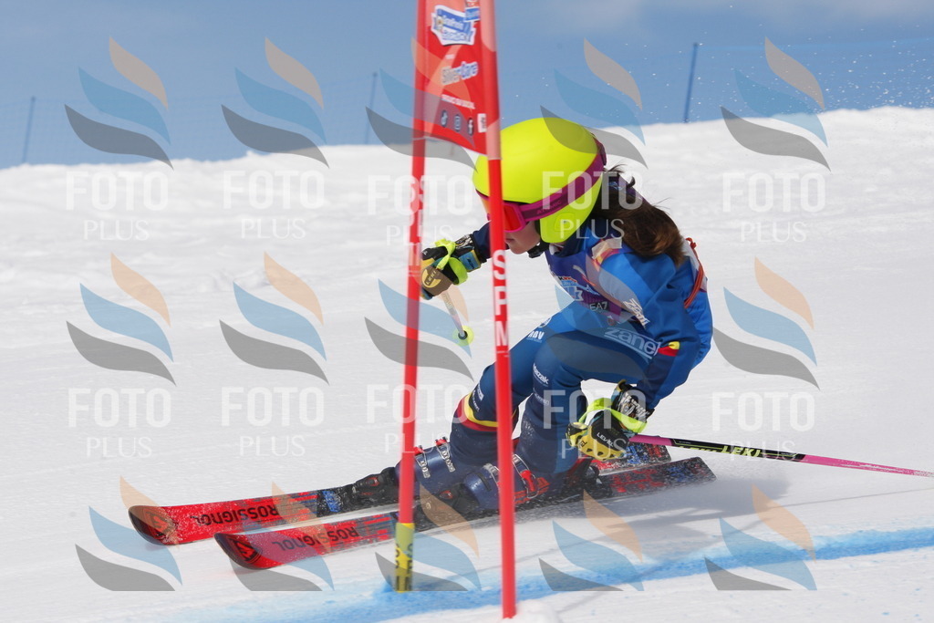 _W1G0711 | holidayphoto