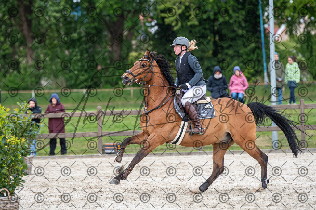 KPT_0026 | andre_photographic