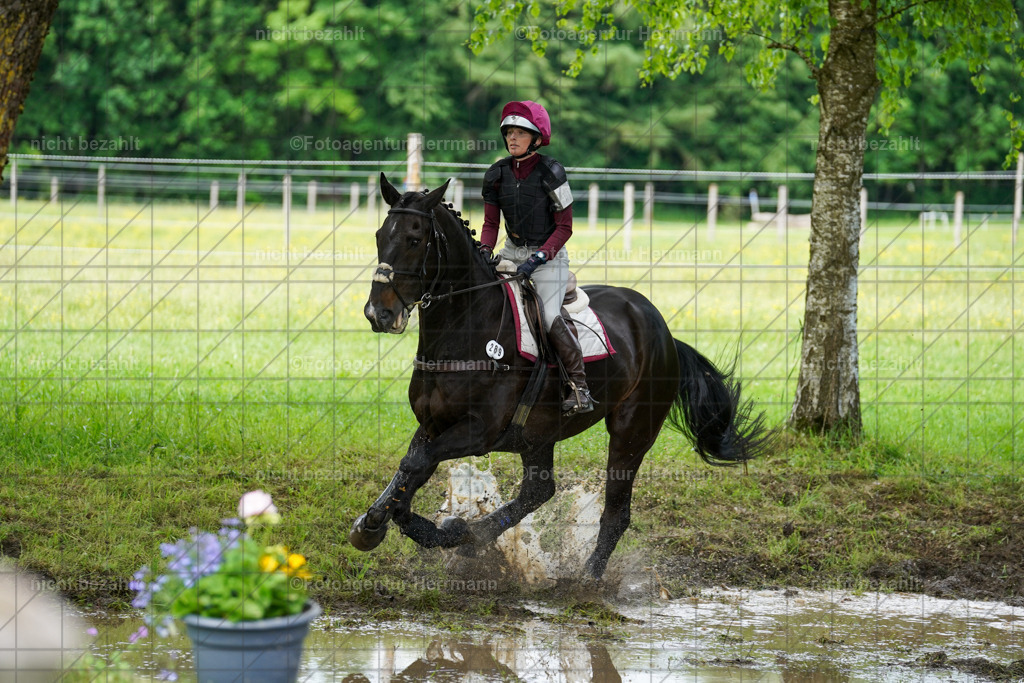 20240518-FAH03823 | Turnierbilder von Niederseon, Turnierfotografen Bayern, Fotoagentur Herrmann, Geländebilder, Reitsportfotografie