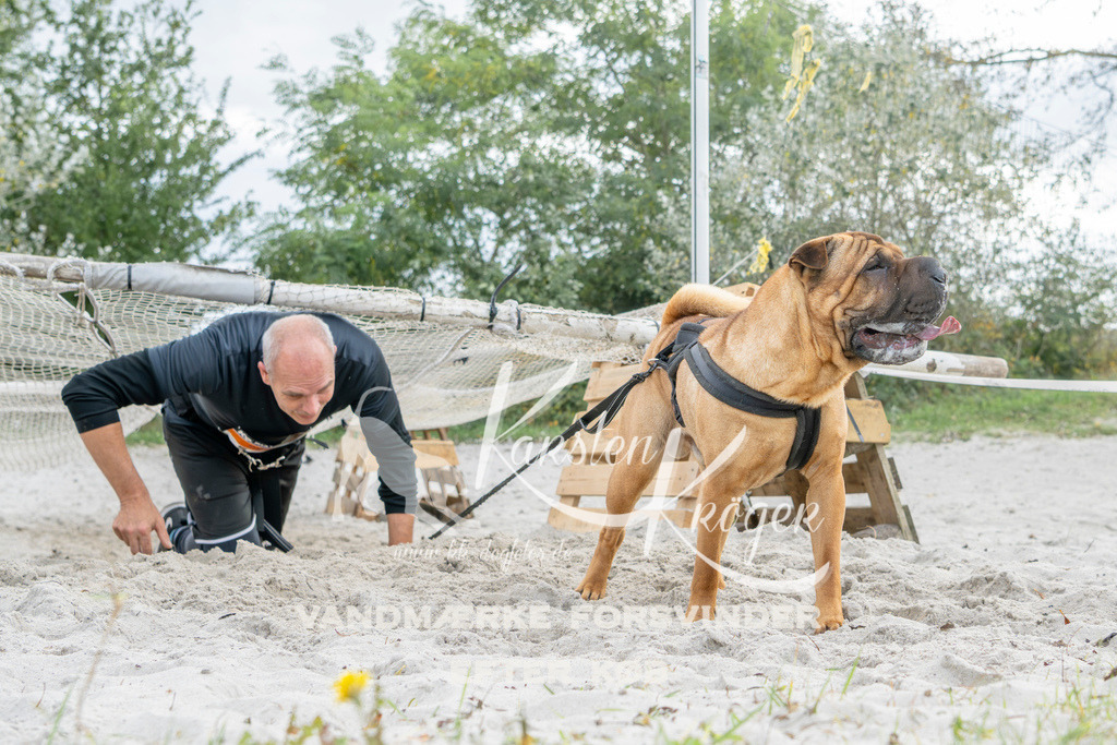 1511_ZZ93535 | kk-dogfotos