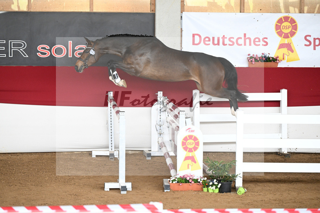 Kat-Nr. 22 Blueberry Spring v. Baloutaire_Engel u Pfizenmaier_9240519 | hf-fotografie - Realizzato con Pictrs.com