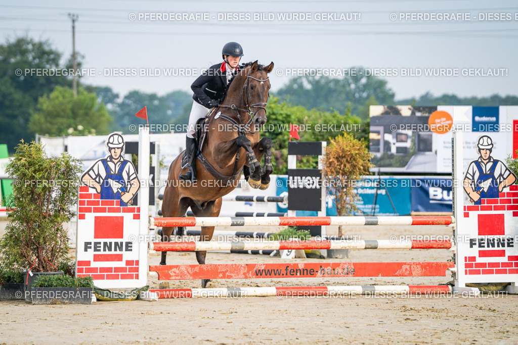 DSC07863 | Pferdegrafie