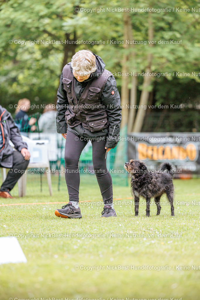 RO-Blumenthal-2026-Nickbest-Hundefotografie-2433 | Dein Hund! Dein Moment! Deine Erinnerungen! Hundefotografie in Bremen Blumenthal. Ich fange die besonderen Momente deines Vierbeiners ein – ob Indoor mit Blitzanlage oder in der freien Natur. Sicher dir dein Moment und dein Termin für eure Erinnerungen.