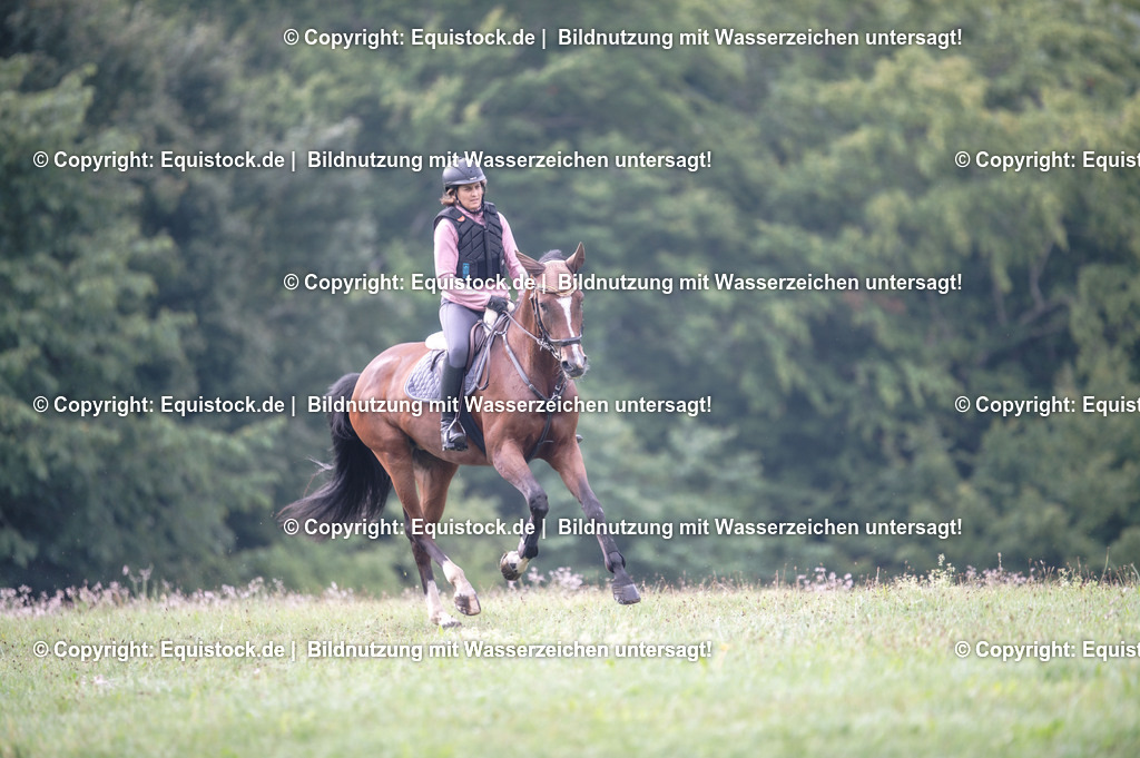 20250726_Vielseitigkeitslehrgang-Marbach_0041 | Foto: Thomas Hartig