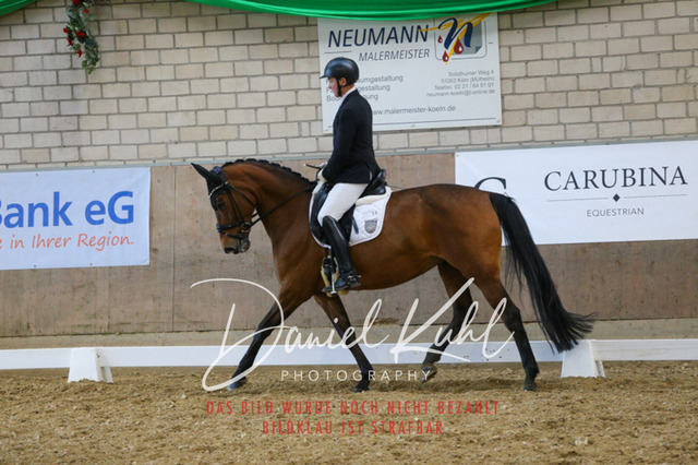 IMG_2752 | Turnierfotos kaufen im Webshop von Daniel Kuhl Photography – entdecke professionelle Reitsportfotos aus Turnieren & Events. Hochwertige Turnierbilder online bestellen & sichern. Jetzt Fotos von Reitsportturnieren kaufen!