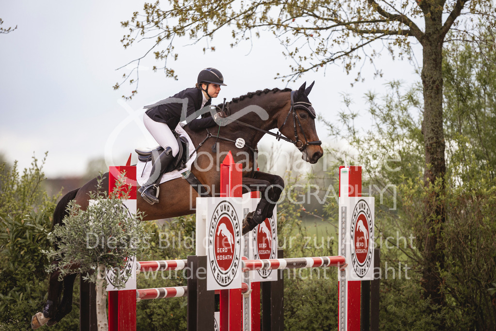 240424_Lemwerder_Stil-M-132 | Deine schönsten Turniermomente als professionelle Fotos! Entdecke hochwertige Pferdesport-Fotografie im Online-Shop. Jetzt Fotos finden & bestellen!