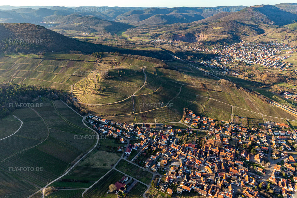 Luftbild: Keschdebusch in Birkweiler im Bundesland Rheinland-Pfalz in Deutschland. Foto: IMG_130633.jpg vom 23.02.2022 durch Werner Riehm/FLY-FOTO.deWeinort Birkweiler