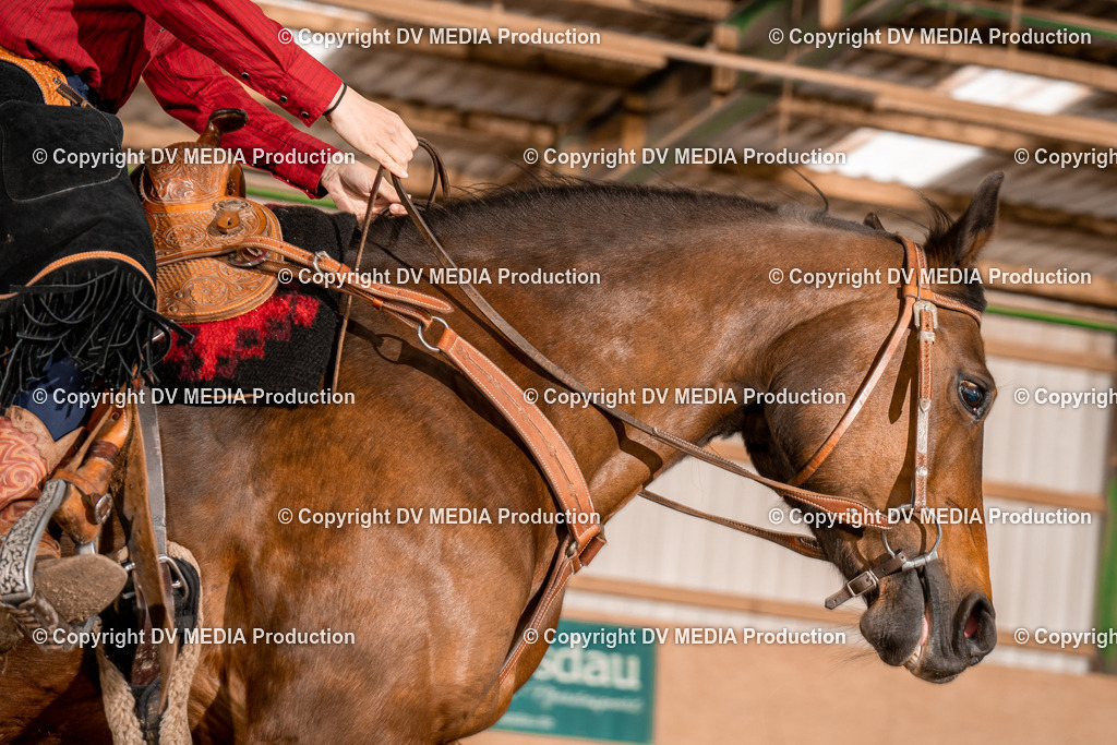 BA400324 | dv-media-shop - Realisiert mit Pictrs.com