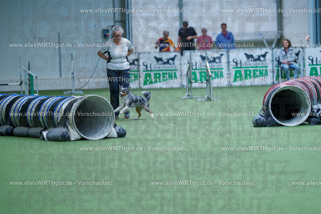 @allesWIRTHgut_Tierfotografie - www.allesWIRTHgut.de - 2604251443-7R505381 | Professionelle Tierfotografie in Mönchengladbach von Daniel Wirth (allesWIRTHgut). Liebevolle & natürliche Bilder von Hunden & Katzen für unvergessliche Erinnerungen.