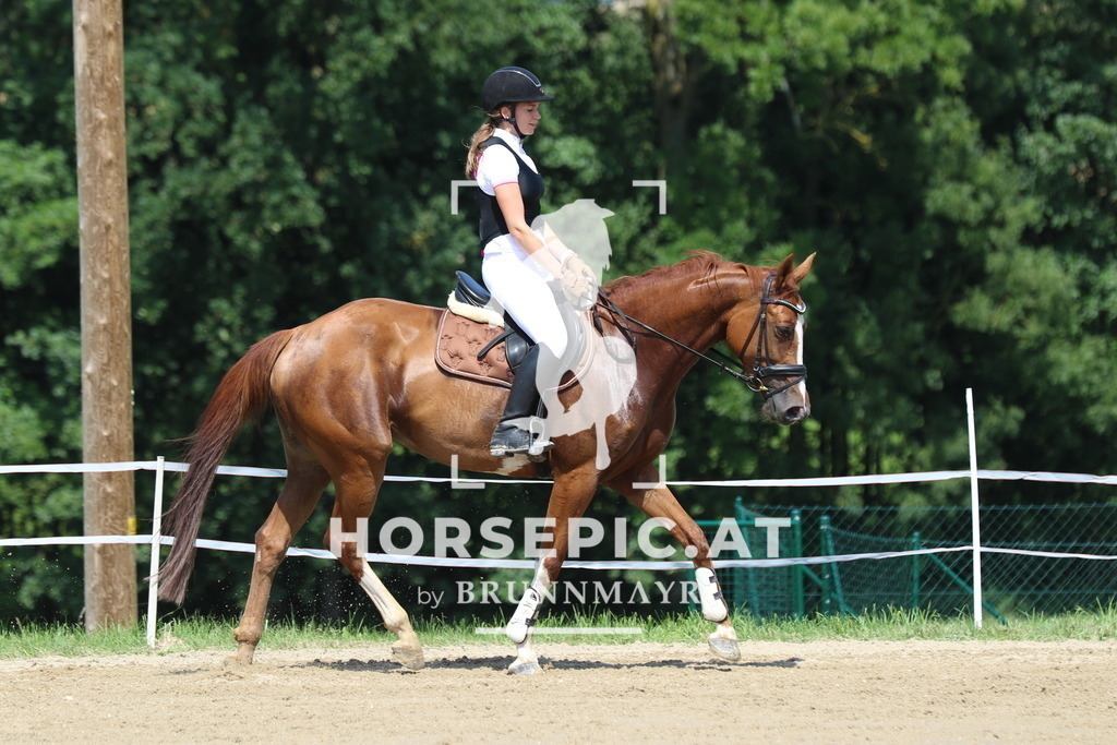 7V2A3404 | Willkommen bei Brunnmayr - Design & Fotografie – Ihrem Spezialisten für Reitturniere und Pferdeveranstaltungen in Oberösterreich, Salzburg und Bayern! Seit über 17 Jahren sind wir leidenschaftlich dabei.