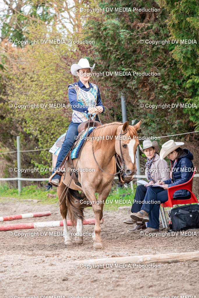 BAL02482 | dv-media-shop - Realisiert mit Pictrs.com