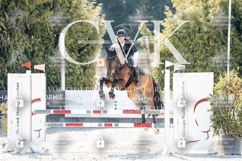 CK908260 | Turnierfotografie Pferdefotografie Trier Rheinland-Pfalz Pferdesport Reitsport Tierfotografie Sportfotografie Pferdevideo Pferdevideografie Equestrianvideography equestrianphotography  - Realisiert mit Pictrs.com