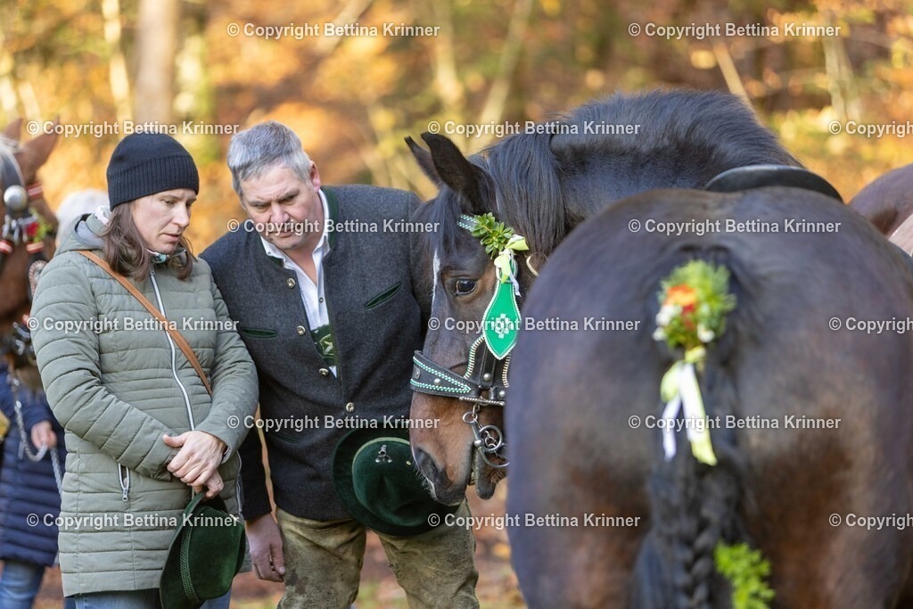 LL24-255 | foto-bettina-krinner - Realisiert mit Pictrs.com