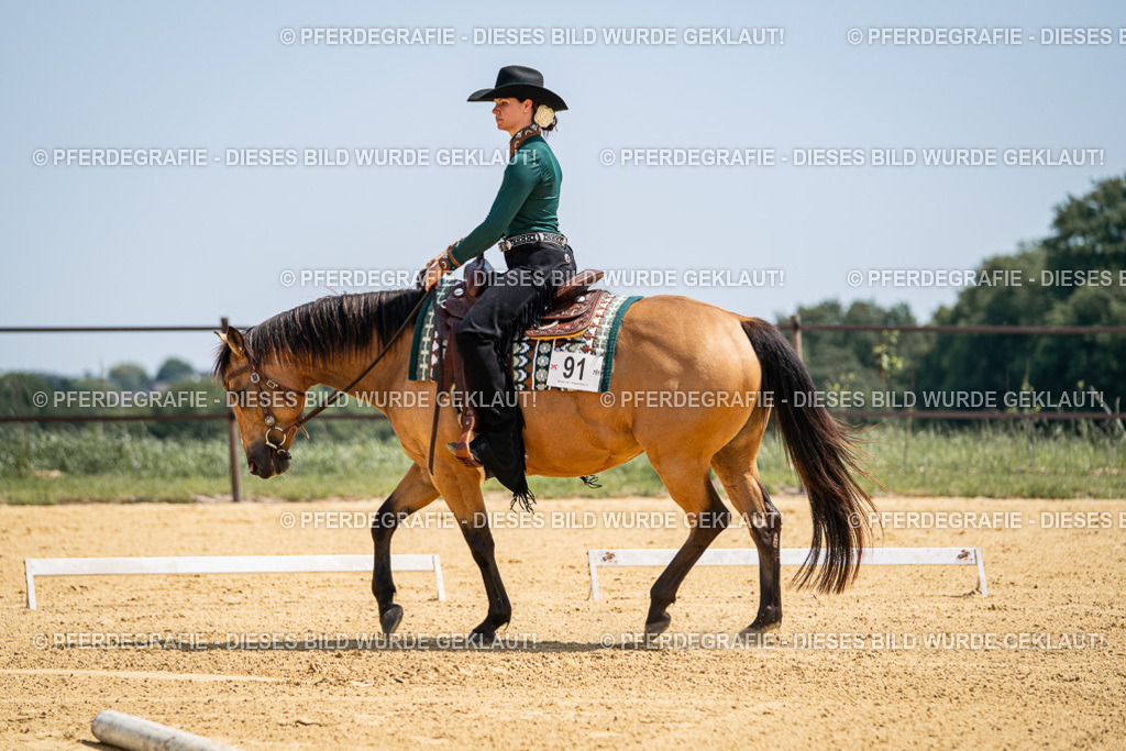 DSC01270 | Pferdegrafie