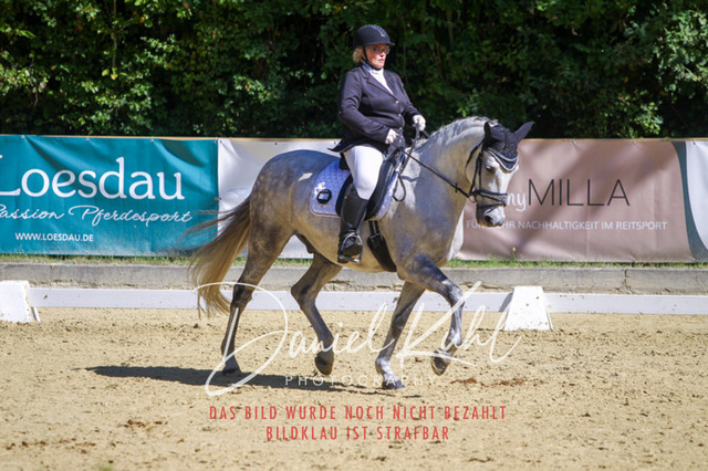 DKP42141 | Turniersportfotografie; Pferdefotografie; Dressurfotografie