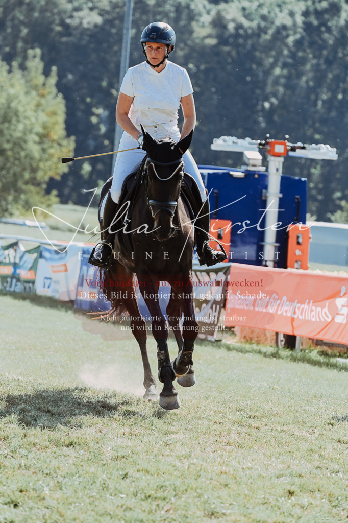 DSC_6281 | Pferde- und Turnierfotografie in Westsachsen. Pferdeportraits, Auftragszeichnungen und intuitive Kunst.