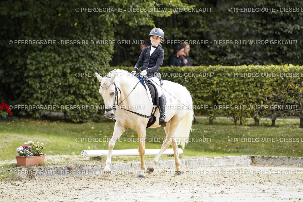 DSC05361 | Pferdegrafie