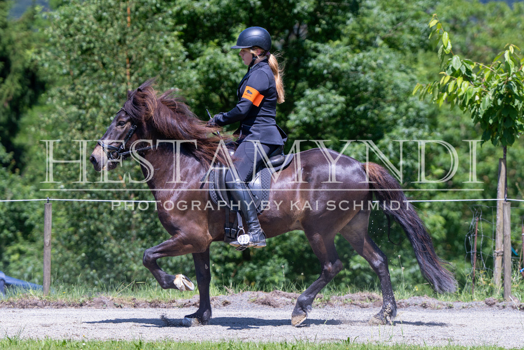 KAI08283 | Ihr sucht einen Fotografen für eure nächste OSI? Ich begleite auch euer Turnier für Islandpferde fotografisch.  - Realisiert mit Pictrs.com