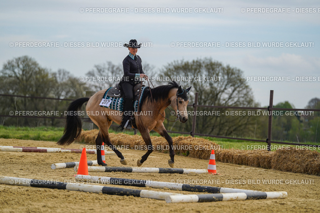 DSC03819 | Pferdegrafie