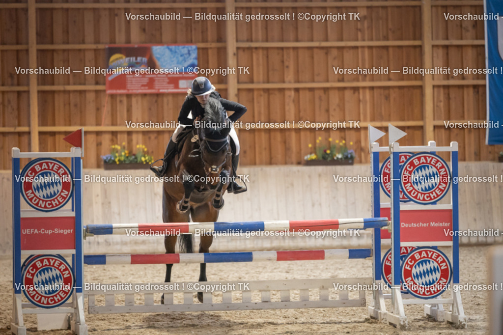 _D5A8561 | Emotionale Pferde- & People-Fotografie rund um Heidelberg, Leimen & Umgebung. Natürliche Fotos von Pferd, Mensch & Familie. Jetzt Termin sichern!