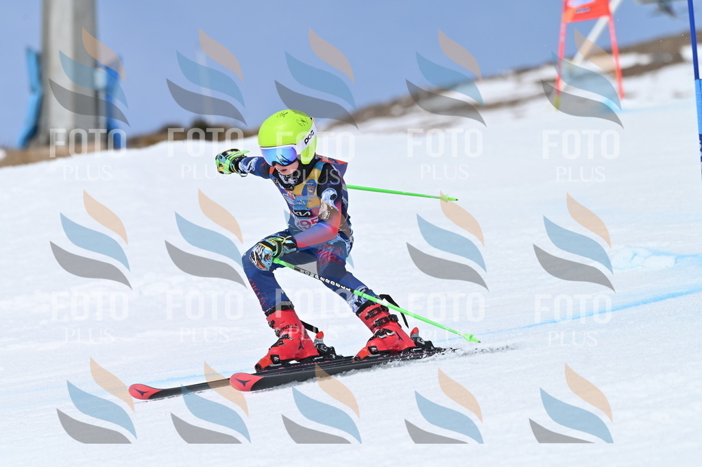 BGV_2700 | holidayphoto