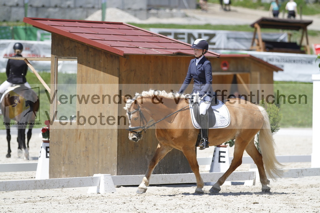 _MG_5110 | equestrian-live-com